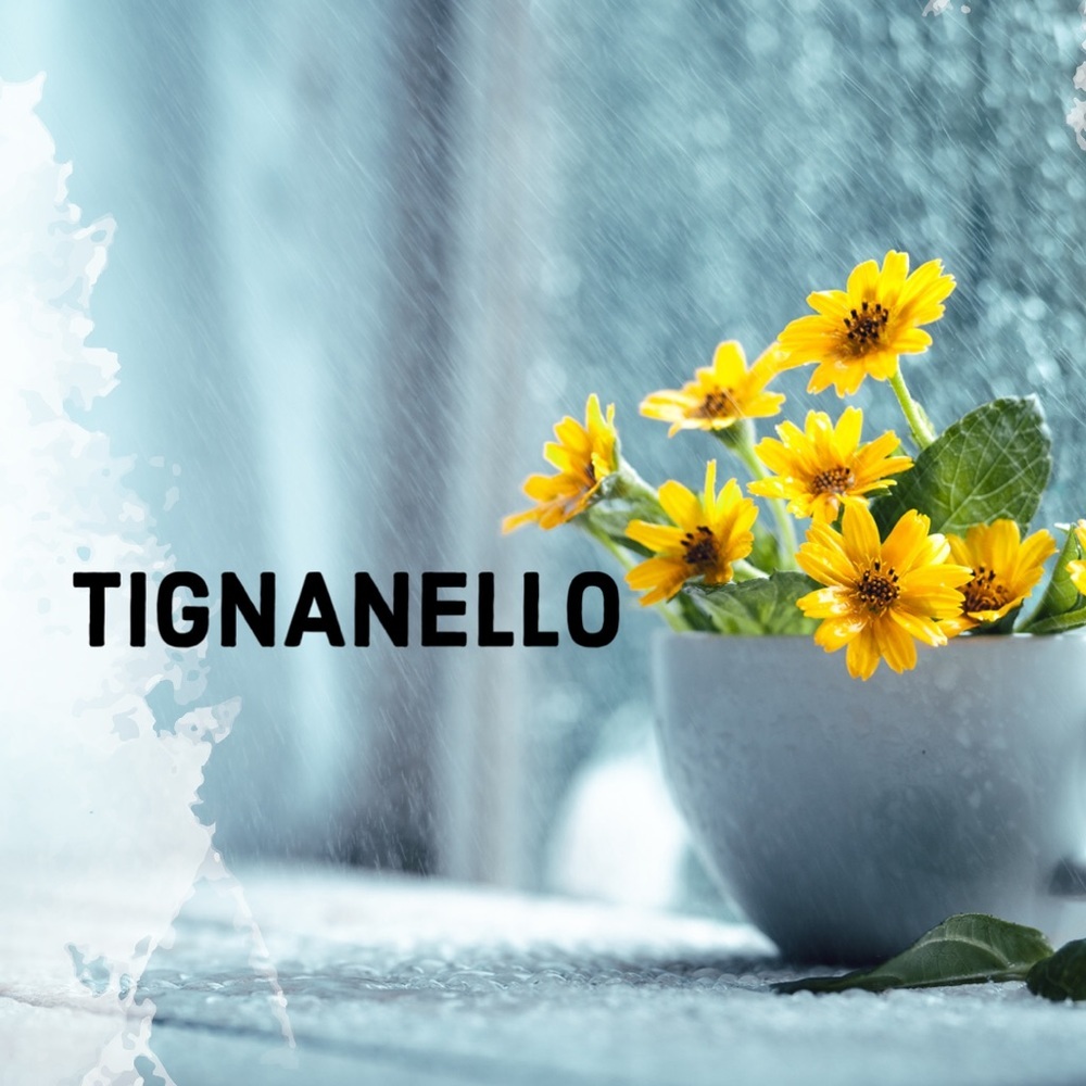 ALL REASONABLE OFFERS WELCOME!